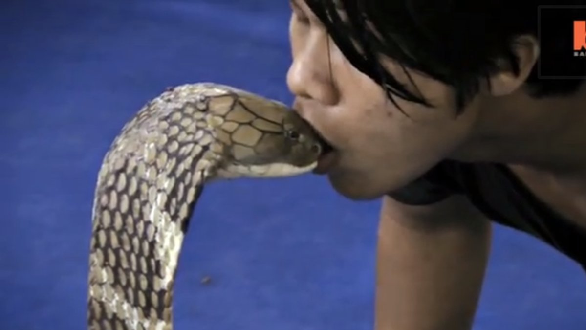 Och efter ett tag ta han sig fram och kysser den arga ormen.